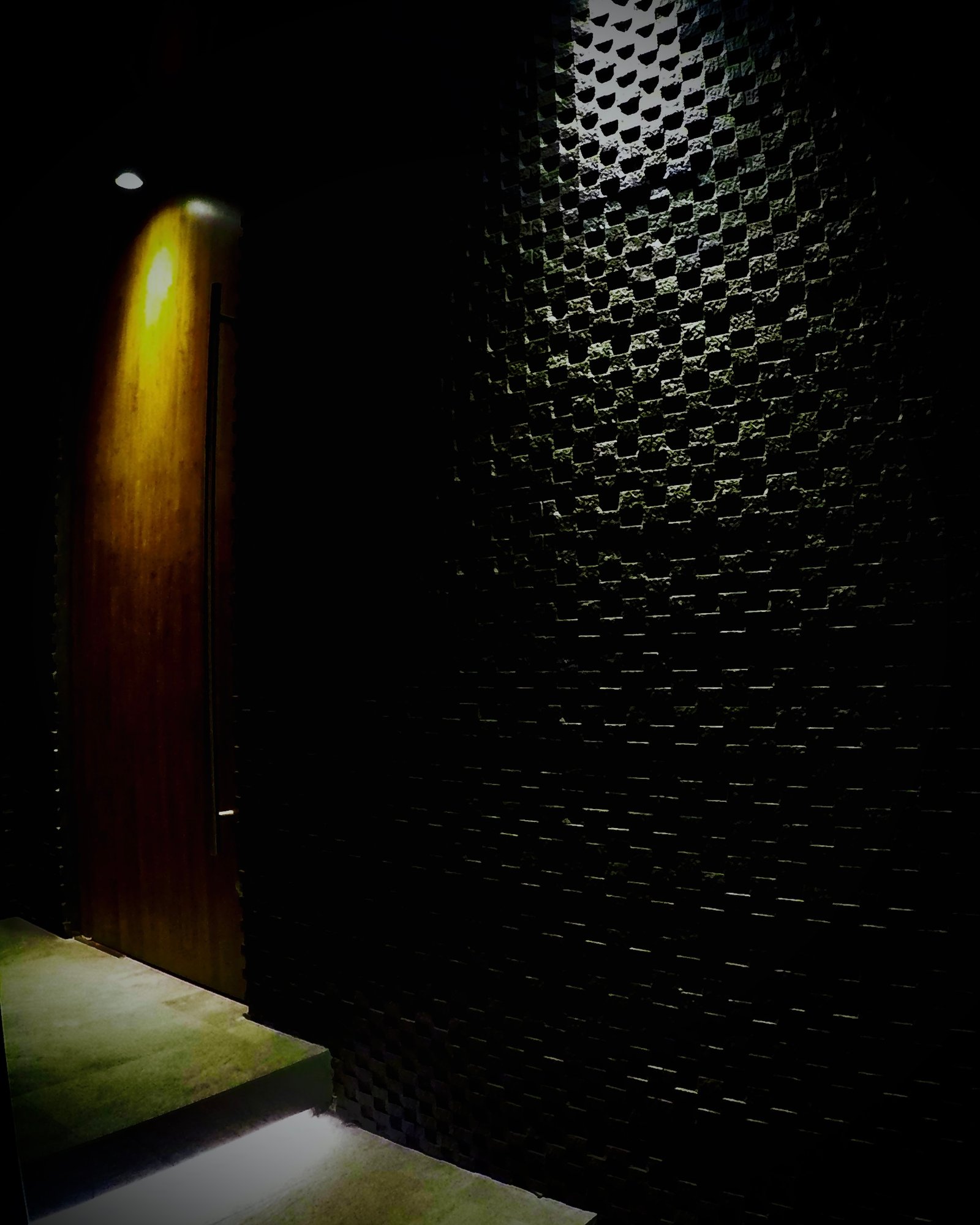 The entrance door and illuminated textured wall at Salon du Japonisant